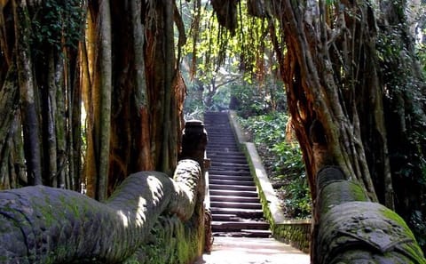 Private Quad Bike Adventure in Ubud, Indonesia