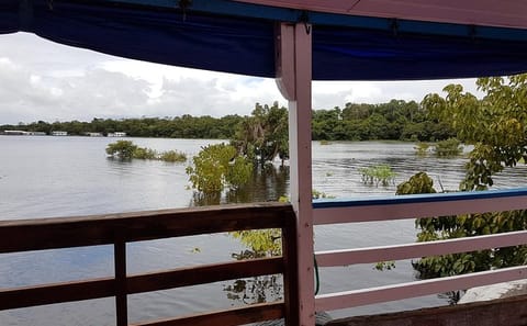 Boat Journey from Manaus to Belém through the Amazon