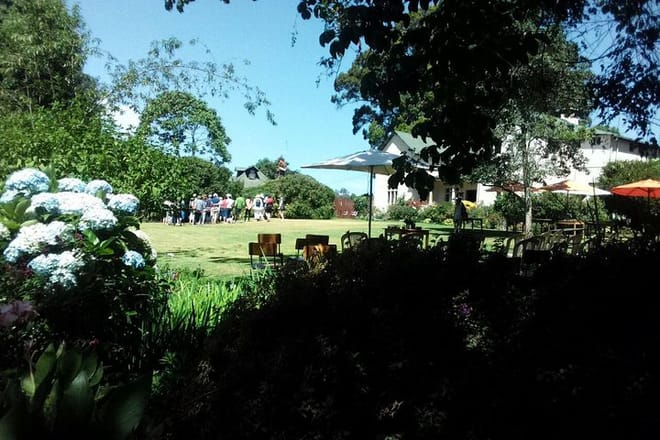 Kiambethu tea farm