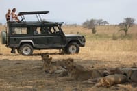 Ngorongoro crater