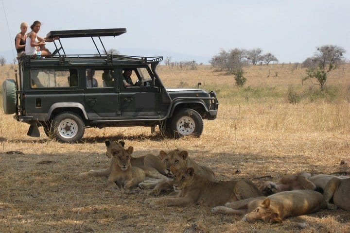 Ngorongoro crater
