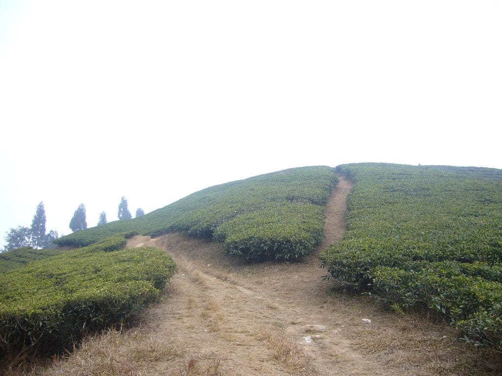 19 Days Mera Peak Climbing & Expedition – One Life-Changing Himalayan Adventure