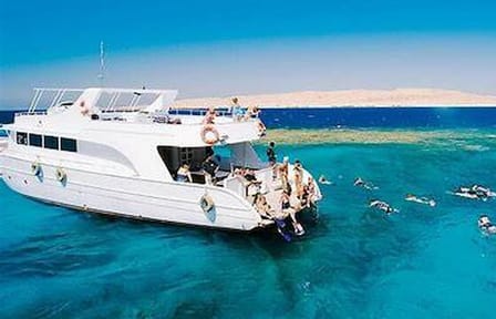 Snorkeling Tour at Dolphin House in Hurghada with Hotel Pickup