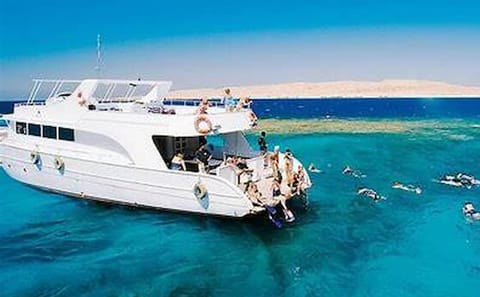 Snorkeling Tour at Dolphin House in Hurghada with Hotel Pickup