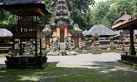 Private Half Day Tour to Ubud 7