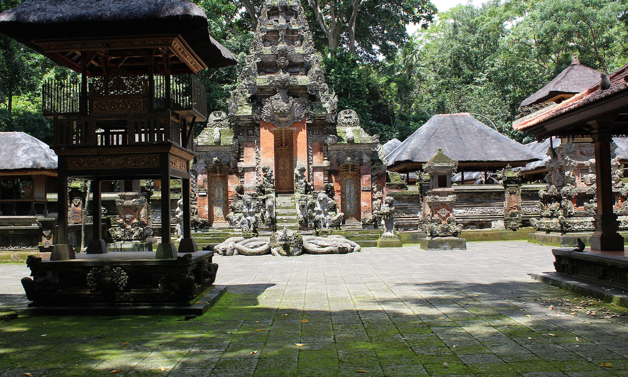 Private Half Day Tour to Ubud 7