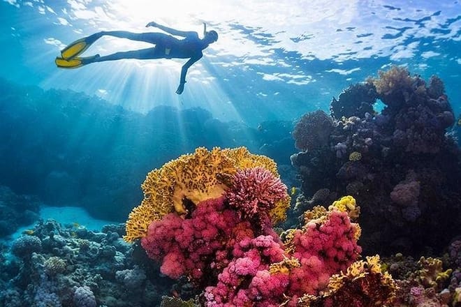 Private Speed Boat to Hula Hula Island trip 4 hours - Hurghada