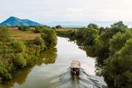 From Virpazar: Semi-private Sightseeing Lake Skadar Boat Tour with Wine