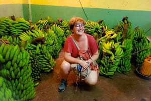 San Jose: Bites and Sights Walking Food Tour including Markets