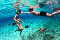 Cozumel Cruise Excursion: Private Speedboat for 8-12 3