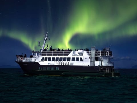 Northern Lights by Boat from Reykjavik