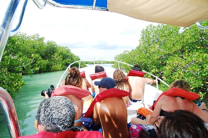 Mangroves