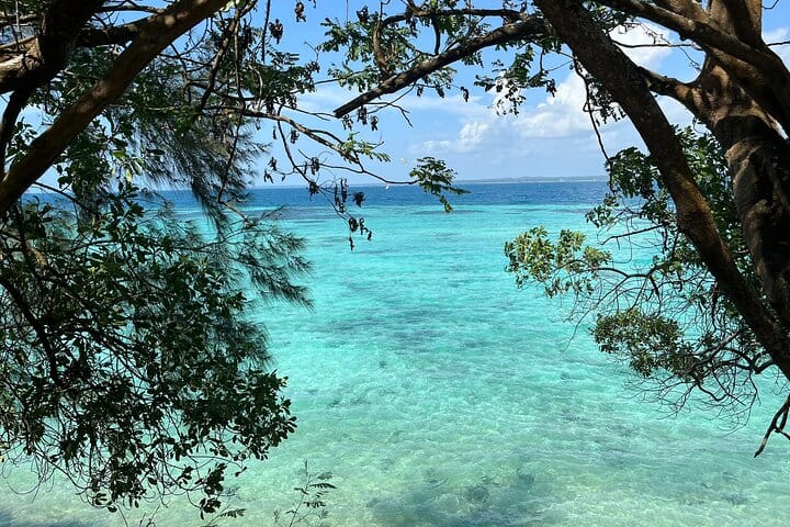 Prison Island and Giant Tortoises Half Day Local Boat Trip 7