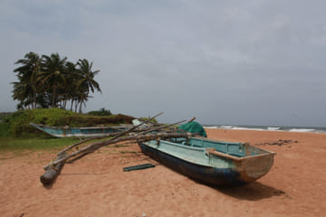 11-Day Wildlife and Adventure Tour in Colombo, Sri Lanka