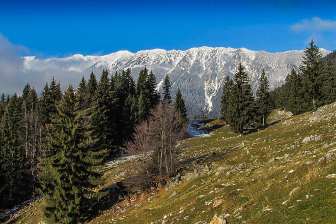 Things to do in Zărnești
