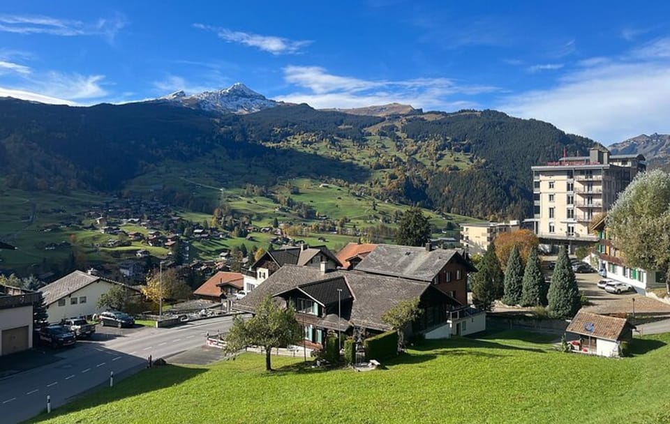 Guided Walking Tour of Grindelwald's Village and Scenic Views