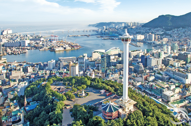 A beautiful view of Busan Tower rising above Yongdusan Park.