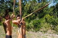Indigenous Guarani Village & Atlantic Forest — Private Day Trip 4