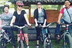 Private Yogyakarta Village Full-Day Bike Tour
