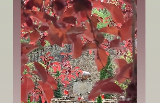 Chisinau Sighteeing Tour with Wine tasting Milesti Mici