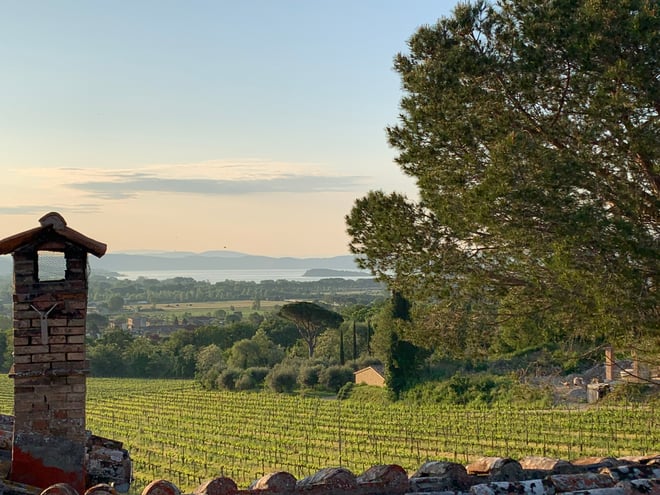 DISCOVERING MONTEMELINO - WINE EXPERIENCE BY LAKE TRASIMENO  - Photo 4