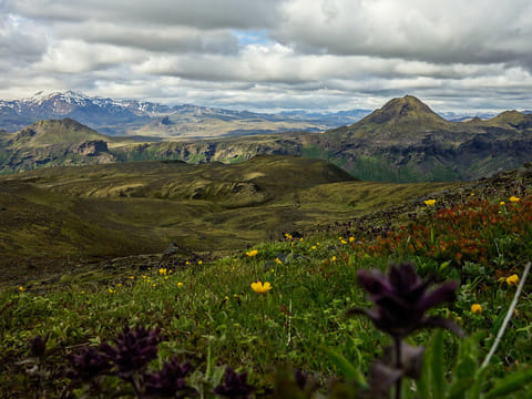 Fimmvörðuháls Private Day Hike, photo 4
