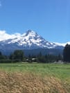 Mt Hood Day Trip from Portland to Multnomah Falls and Hood River 9