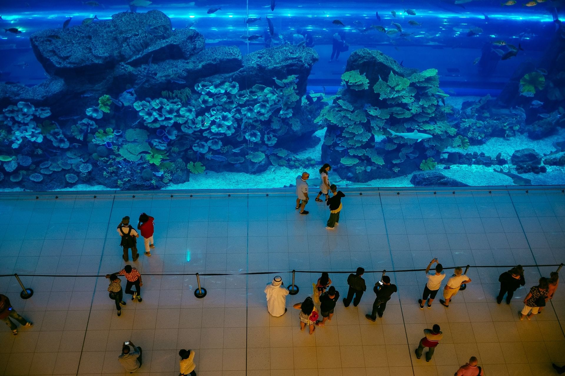 how to reach dubai aquarium- explore with tour visionary