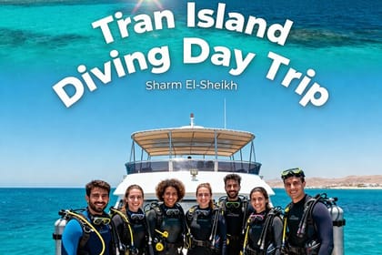 Tiran Island Diving Day Trip from Sharm El-Sheikh