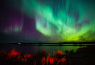Beautiful Northern Lights in Rovaniemi