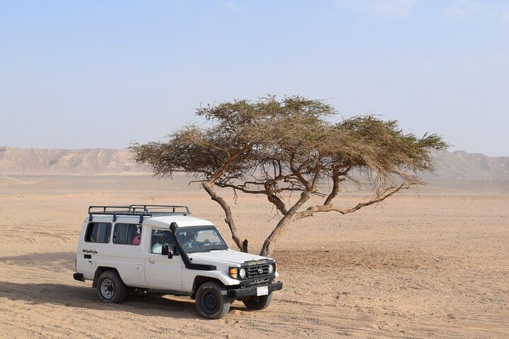 Desert Jeep Safari , Camel Riding & Bedouin dinner in Marsa Alam