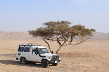 Desert Jeep Safari , Camel Riding & Bedouin dinner in Marsa Alam