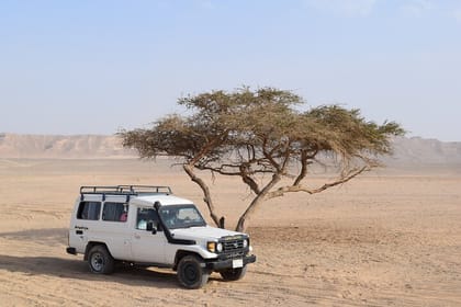 Desert Jeep Safari , Camel Riding & Bedouin dinner in Marsa Alam