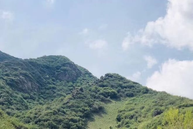Private Day Tour to Nanshan Pasture and Tianshan Grand Canyon photo 6