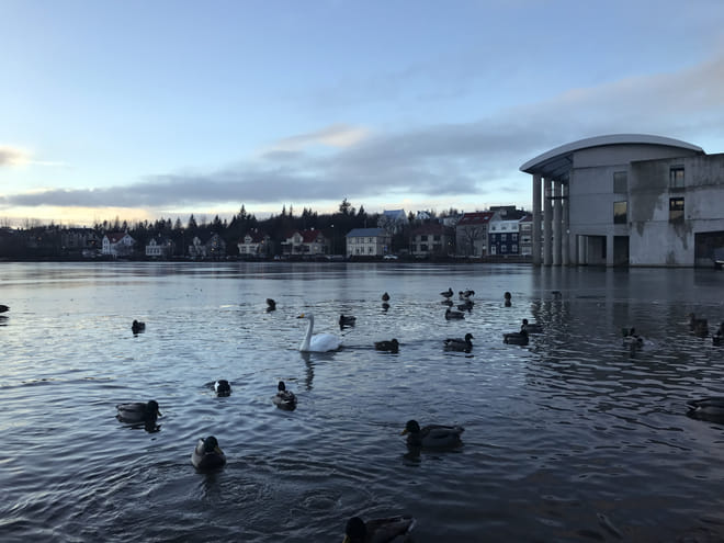 Reykjavik Highlights Tour in a Private SUV  photo 2