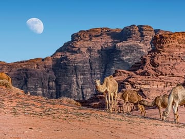 Wadi Rum