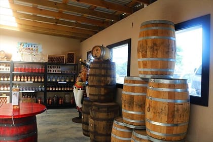 Mega Excursion Zipline, City Tour, Chocolate & Rum Factory, Beach