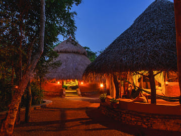 Birdwatching and Wildlife Safari in Colombo, Sri Lanka