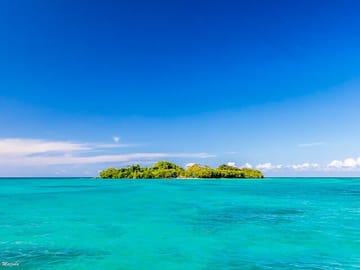 Booby Cay Island Boat Tour with Open Bar & Fresh Seafood Lunch