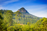SAFARI ADAM'S PEAK 5