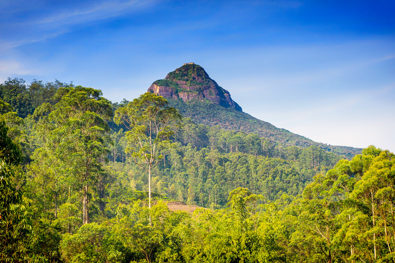 SAFARI ADAM'S PEAK 5