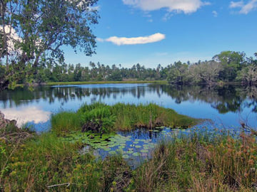 Hippo lagoon on Mafia Island