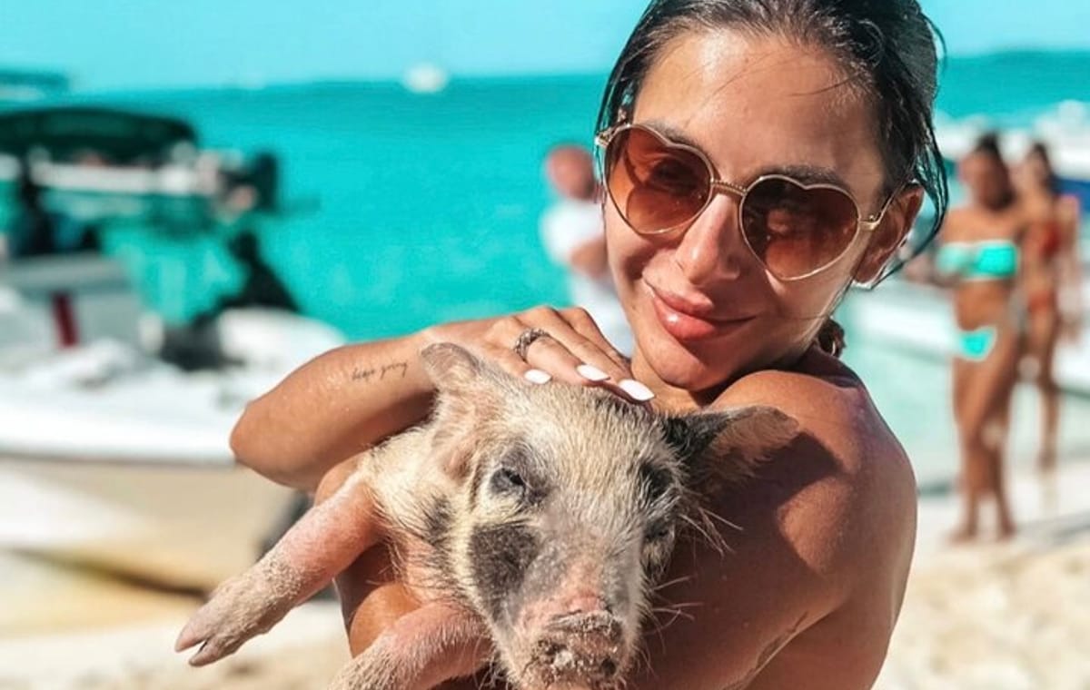 Exuma Day trip Iguanas,Sharks & Swimming Pigs Private Tour (8hrs)