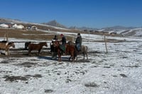 horse riding