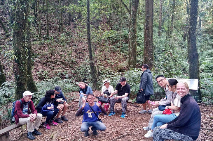CHIANG MAI: Doi Inthanon & Trekking (2 Km.)at Kew Mae Pan (incl entrance fees) 6