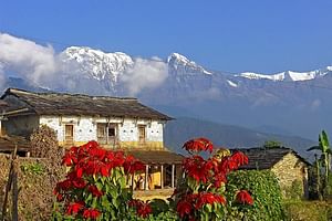 Dhampus Trek from Pokhara