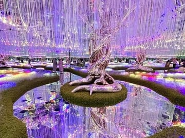 Dubai Dazzle Package: Sky Views, AYA Universe & Dinner Cruise