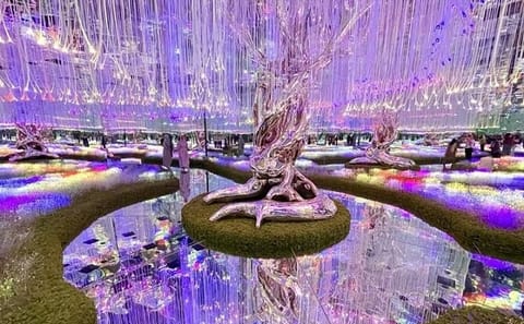 Dubai Dazzle Package: Sky Views, AYA Universe & Dinner Cruise