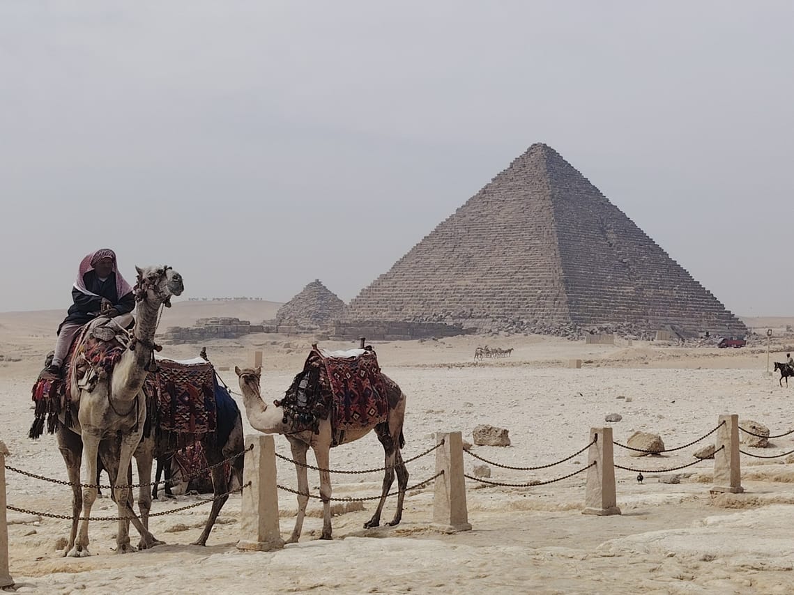 Premium Cairo Over Day Pyramids, New Grand Museum & Lunch - Hurghada 2