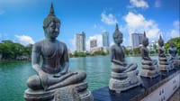 CEYLON CLASSIC TOUR - 3 Nights/4 Days  4
